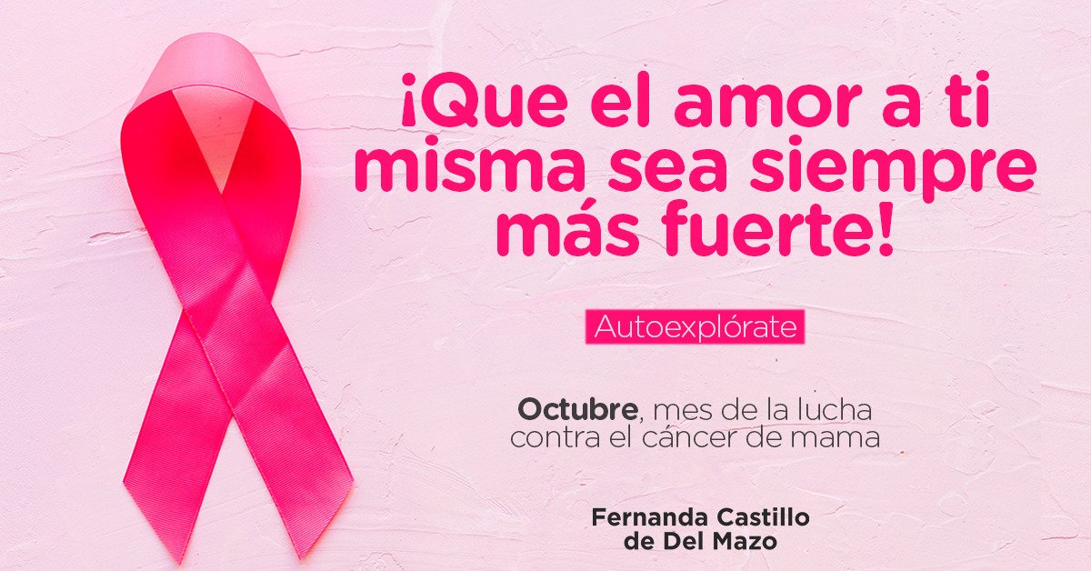 fercastillodm tweet picture
