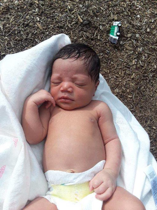 Look at my little sunflower Ana 😍 https://t.co/ngZSmmdmSJ<a href="/tag/haydenmylove"class="tags"><span>#haydenmylove</span></a>