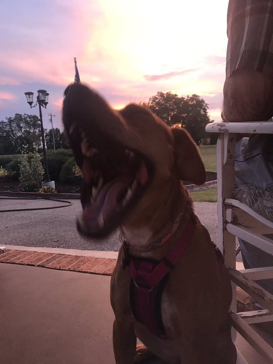 tickomusic's tweet photo. caption this https://t.co/oRSX6qWDQ8