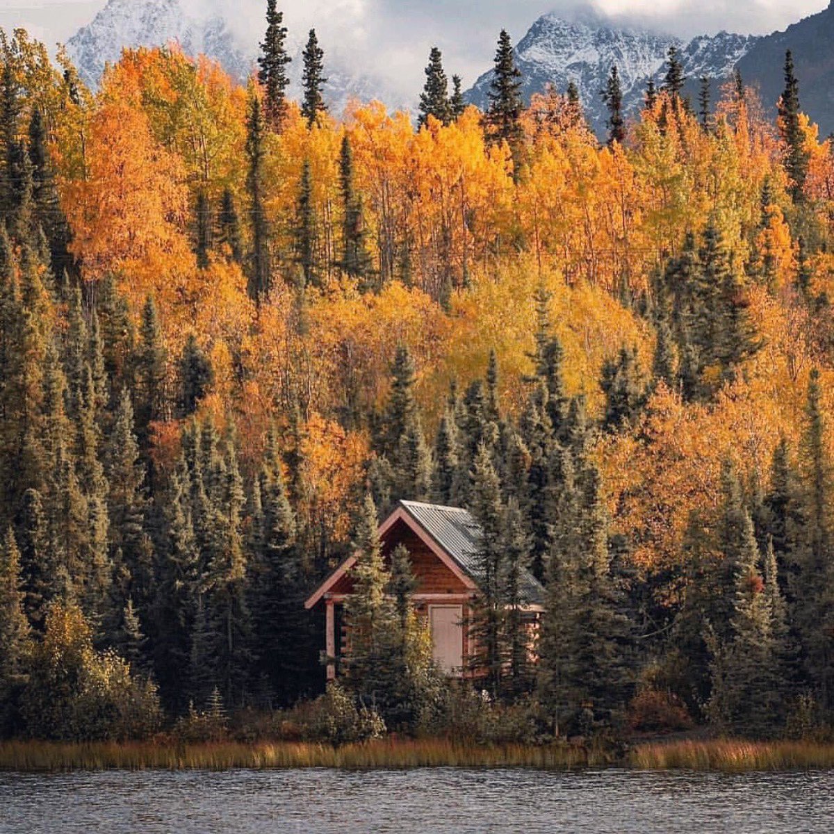 offgridtalk's tweet image. I feel fall in the air.