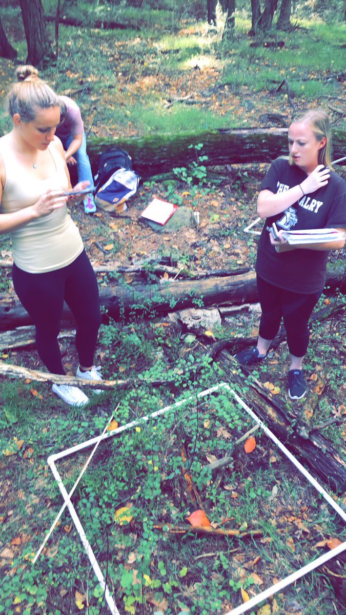KrupnickJon's tweet photo. Last week’s lab trying to identify all the tiny seedlings #ees152 https://t.co/5fF79ExBab