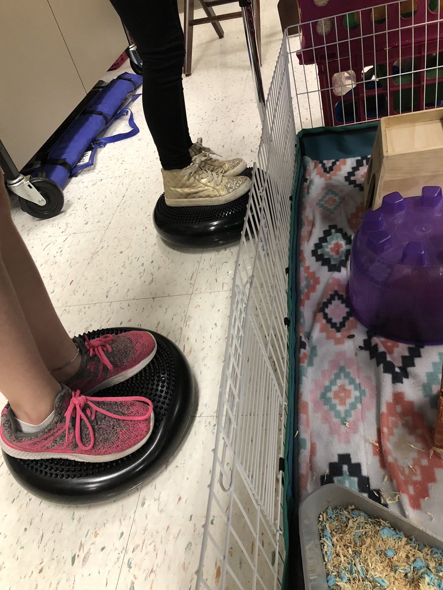 RJohnson_BE's tweet photo. Our Donor’s Choose project was funded! Check out our cool new seating options! 😎 #BEanActiveLearner @DonorsChoose https://t.co/lmLIiIrTM6