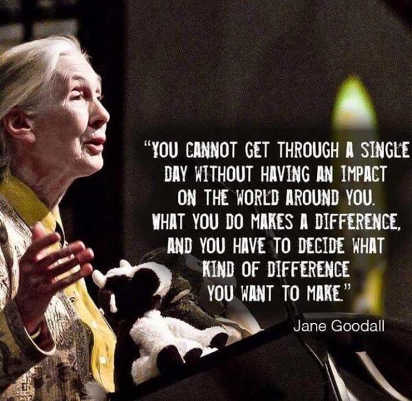 RRHSCounseling's tweet photo. Always remember “you make a difference!”   Your uniqueness is a gift to share with those around you.  Do not let others steal or make you ashamed of your gift that you share freely!  You are a Difference Maker! https://t.co/jrDalMqZWm