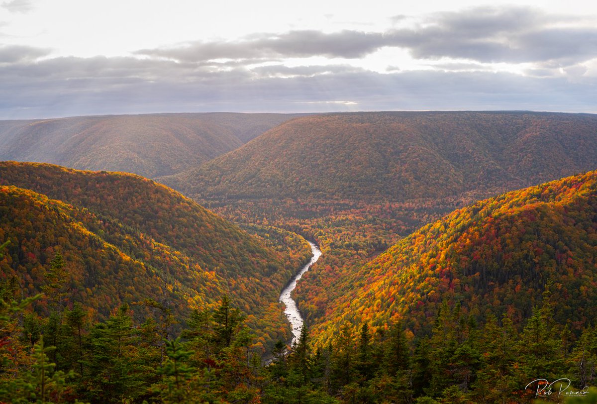 Rob Romard tweet media