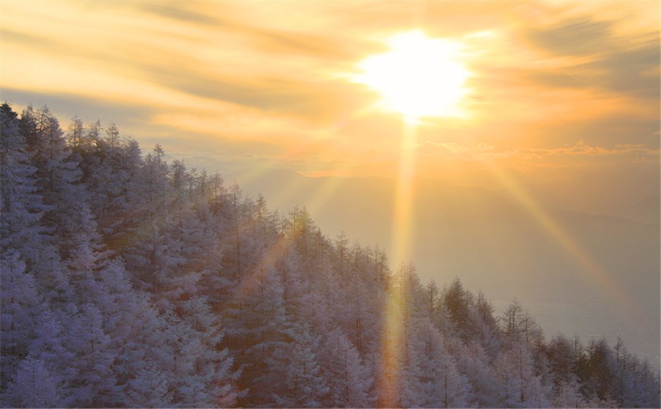 Diercon's tweet image. There are more things in heaven and earth than you've ever dream of.