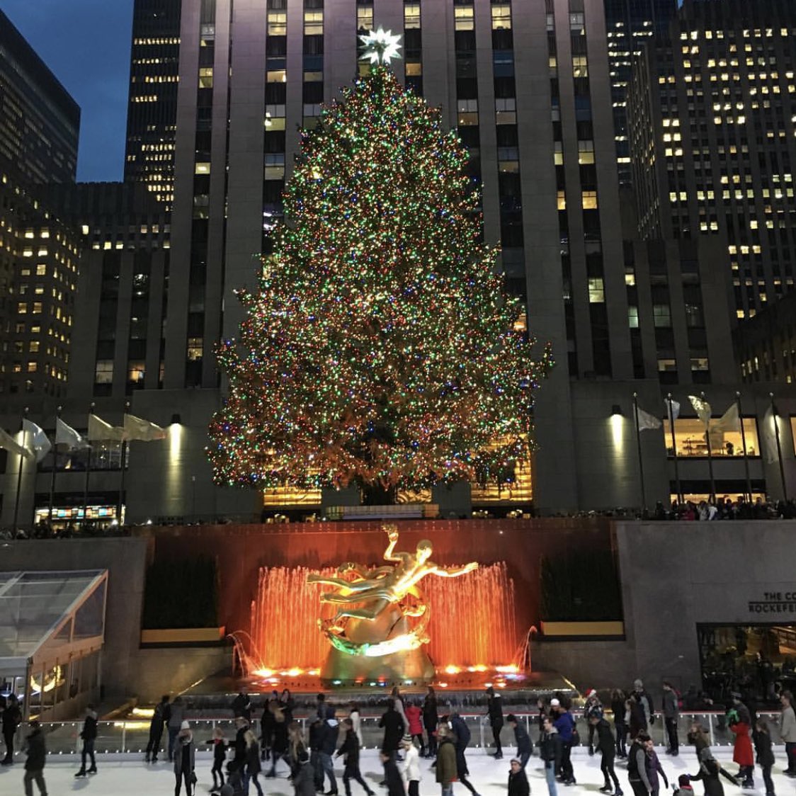 emden11's tweet photo. SOON 🎄🌃😁 https://t.co/KVhJ9kG6IV