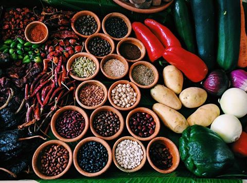 Agricultura chapina - foto por Lester Liquens Macrofotografía Guatemala Lester Liquens #Guatemala Visite mundochapin.com