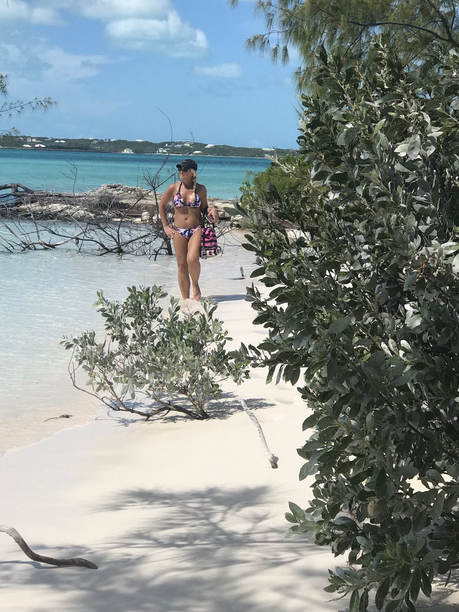 mendy_b68's tweet photo. Stocking Island..Hamburger Beach..Beautiful!!❤️ #exuma #bahamas #stockingisland @TheExumaDream @ArtExuma @GIVBahamasInc @ParadiseExuma @ExploreExuma @CanuckPalms https://t.co/1H35larxeQ