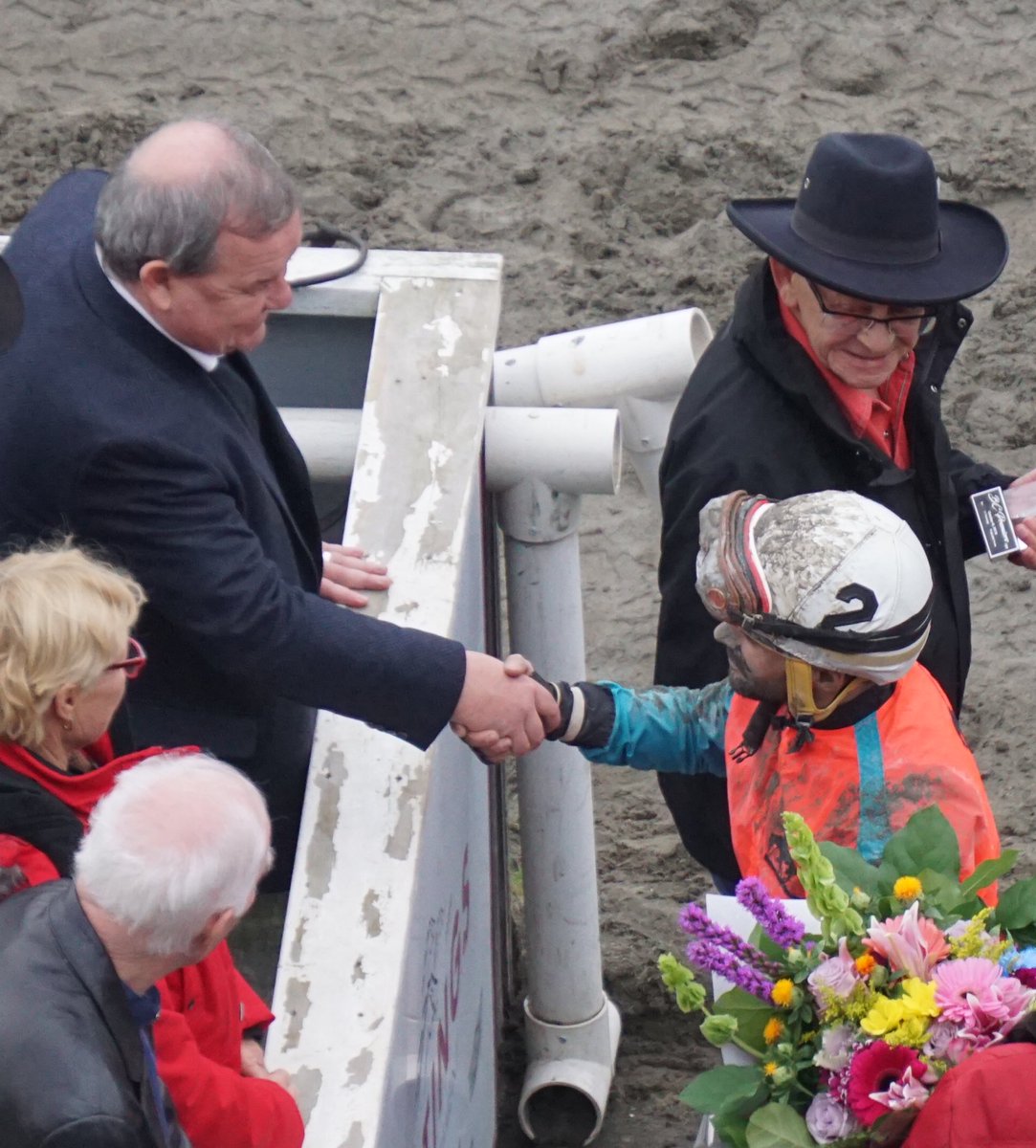 theBreakerNews's tweet image. Your moment of (Thanksgiving) zen. @bcndp @ShaneLSimpson decorating Calgary Caper, the winner of the 2018 #FirstPastThePost Premier’s Stakes at @HastingsRaces. #bcpoli #pr4bc #noproprep