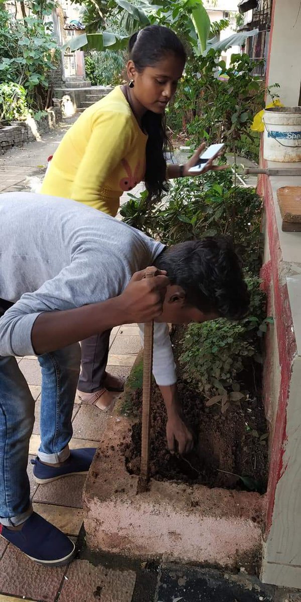 4_rid3142's tweet photo. Go Green Part2 initiative,
Successfully Done๐๐
#Zone4 #ZRR #Zonal_Team #Presec #Dhingana #AlwaysBeHappy #Rotaract51 #Ekatra3142 #RID3142. https://t.co/JBIKrgLHiN