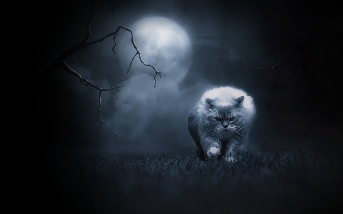 rmfund's tweet image. #DeleteGPlus 🇺🇸 #GooglePlus Project Strobe ✅ tinyurl.com/yawnb4te 🧐 "We are #shuttingdown Google+ for #consumers, we will implement this wind-down over a 10-month period, slated for completion by the end of next August ..."