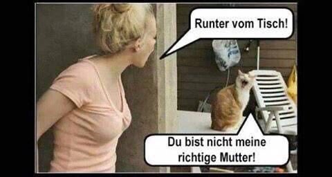 Kristin P Twitterren