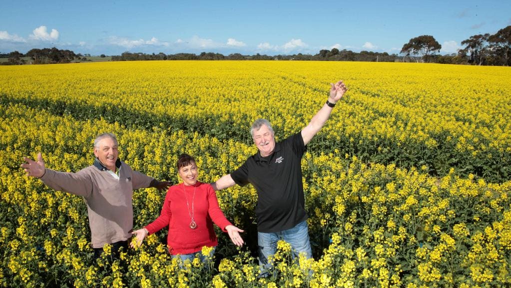 PatRowan_PRA's tweet photo. Support our Farmers in need! Canola Flowering Festival, Family Fun Day. Sun. 14th Oct. 9-am - 4pm, Connewarre. Wear something red for the love heart aerial shot. Great initiative by Bob &amp; Carmen Chapman. Find out more https://t.co/q6EPHxHGZK
Image: Alison Wynd https://t.co/jim6xKRZhO