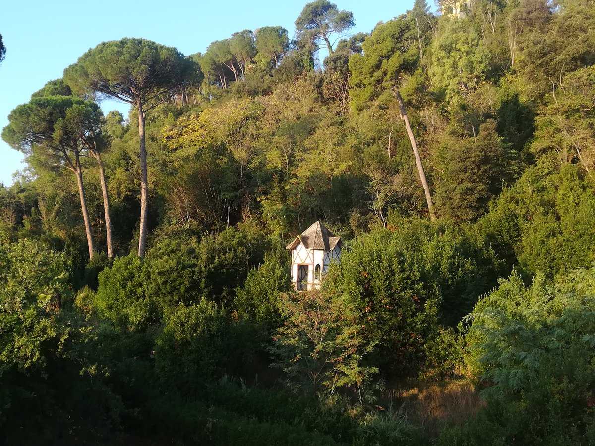 EnteRomaNatura's tweet photo. Buongiorno a tutti dalla #RNMonteMario #VillaMazzanti @Mau_Gubbiotti @RegioneLazio @visit_lazio https://t.co/1RPKX2v3CK