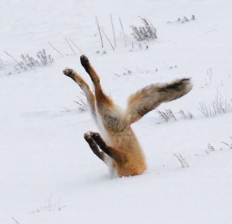 vivlewis2012's tweet photo. @TomHall #washcon18 #Its Tuesday here #lol https://t.co/sZRLatfhMF