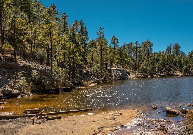 One last shot from a quick jaunt up the mountain to Rose Canyon Lake.
.
.
.
#mtlemmon #rosecanyonlake #arizona #instagram #instagood #igers #igerstucson #latergram #amateur #amateurphotography #nikon #nikonphotography #nikond500 #landscape #landscapephot… ift.tt/2IL5bzN