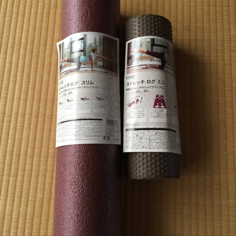 ストレッチポールはドンキ ダイソー ニトリどこで買える Workout Love