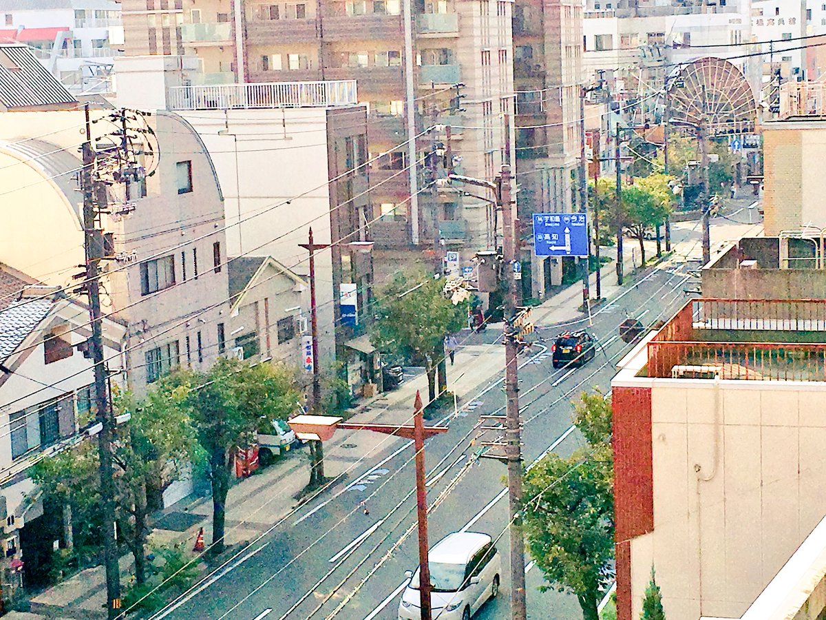 celery2016's tweet image. ただいまつやま‼️