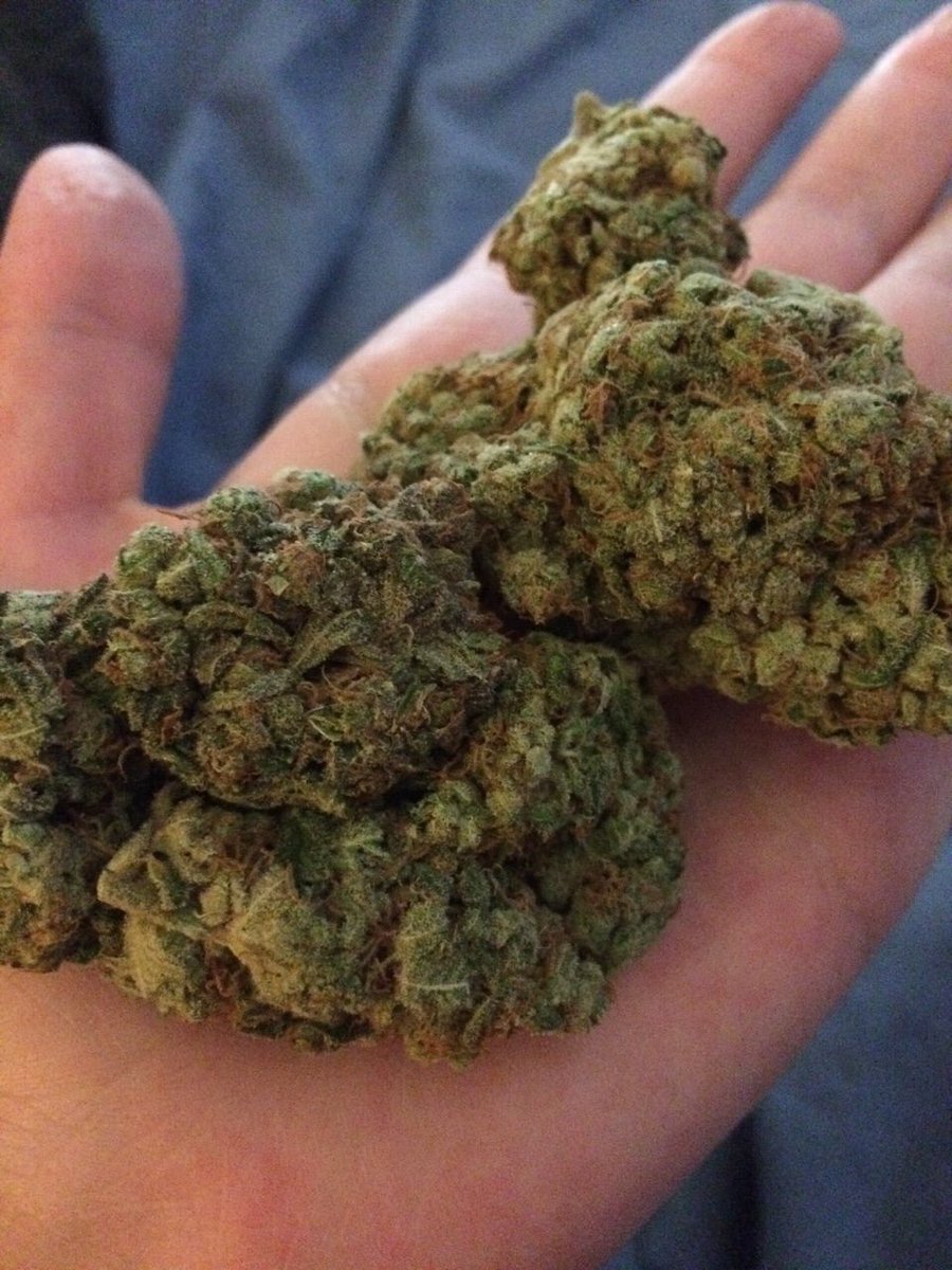 weedzbiz's tweet photo. This makes life spin like hell , so who’s up for some ?? Just hit me up https://t.co/jjyjfqtOPM