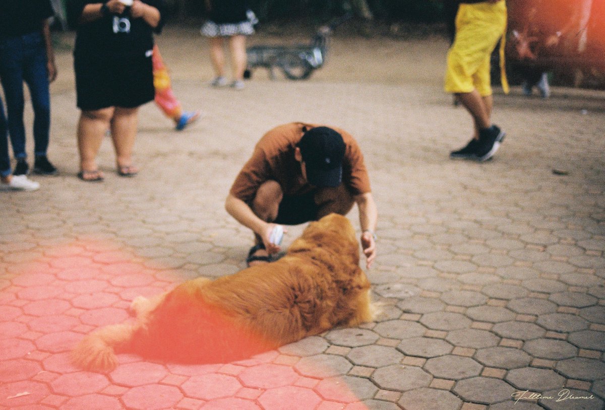 FlltimeDreamer's tweet photo. นุ้งเพิ้ด นุ้งม๊าค นุ้งตตไปเข้าค่าย เล่นกะช้างกะหมาน้อย 
#หัวใจศิวัช #รอยยิ้มของชูครีม #กลจของตต *รูปจากกล้องฟิล์มจร้า https://t.co/dCK1GymLlX