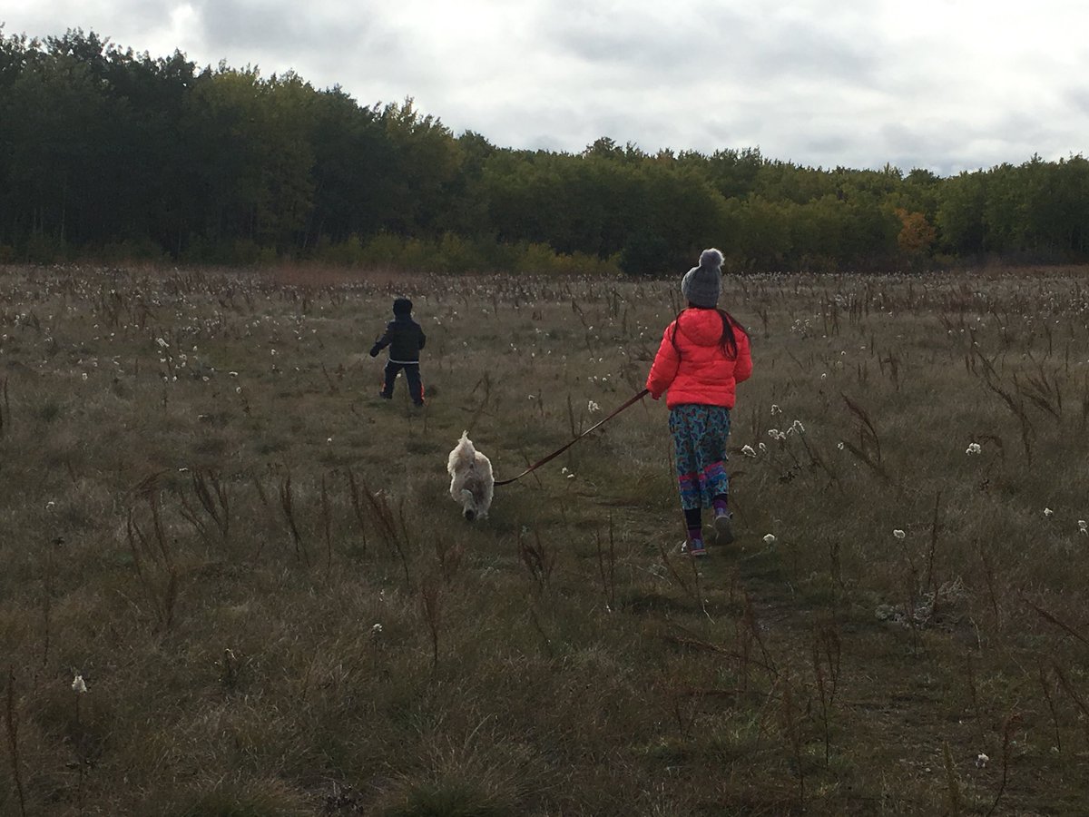 smidford1's tweet photo. Thankful for land, life, love ❤️ and learning!  Spreading seeds of love! https://t.co/ykDeKkB6a7