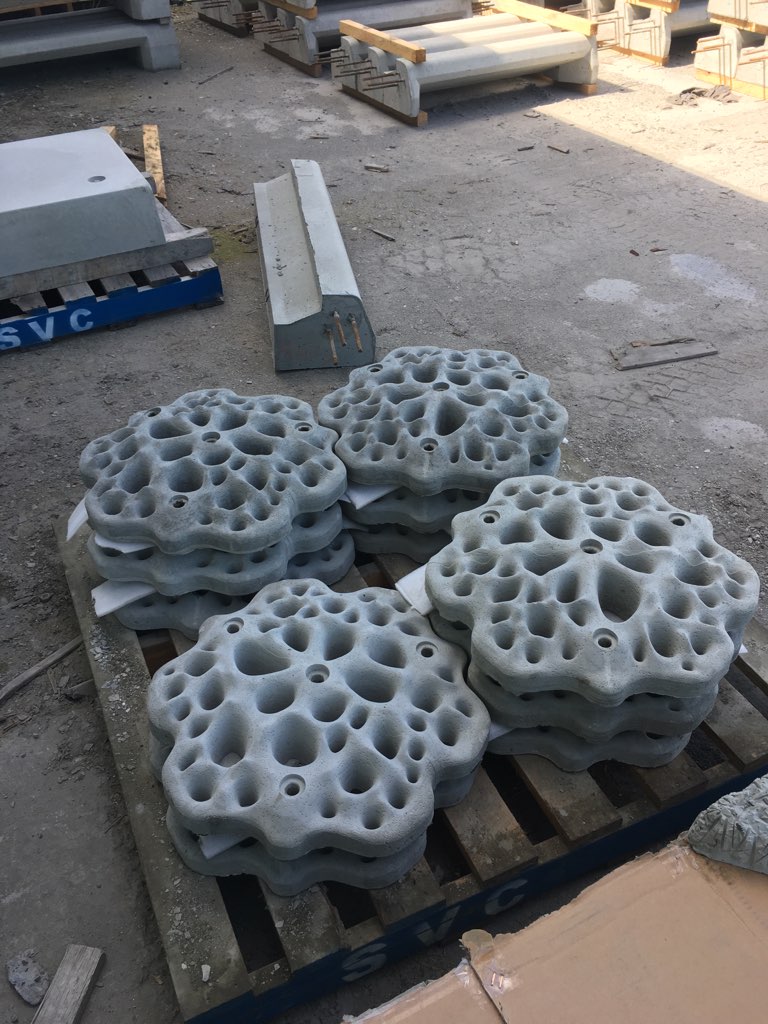 Fabrication of our @LivingSeawalls  tiles is well underway! Things are getting exciting! @marialvozzo @kate_c_dodds @DrKDafforn @CariocaMayer @WorldHarbours @MQ_Marine #Greenwall #ecoengineering #livingseawall