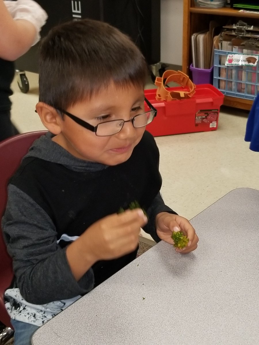PelicanElemSDR's tweet photo. Students in Mrs. Rogers 2nd grade classroom shared Kale Chips with all classrooms last week. They discussed how they harvested the kale from our #schoolgarden and then students gave it a try! https://t.co/qAhn5S0rNg