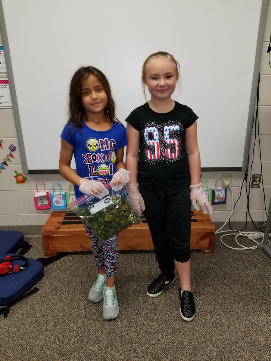 PelicanElemSDR's tweet photo. Students in Mrs. Rogers 2nd grade classroom shared Kale Chips with all classrooms last week. They discussed how they harvested the kale from our #schoolgarden and then students gave it a try! https://t.co/qAhn5S0rNg