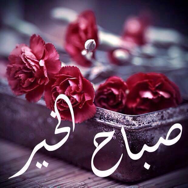 omadel96's tweet photo. https://t.co/QaBjEZP7OH