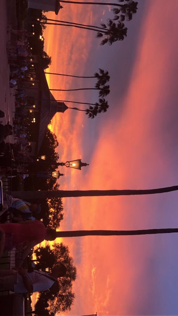 NecesitoVolver's tweet photo. https://t.co/E5Ph29iVE3