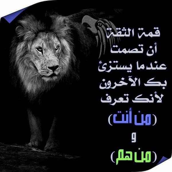 omadel96's tweet photo. https://t.co/B7HXNFyJrW