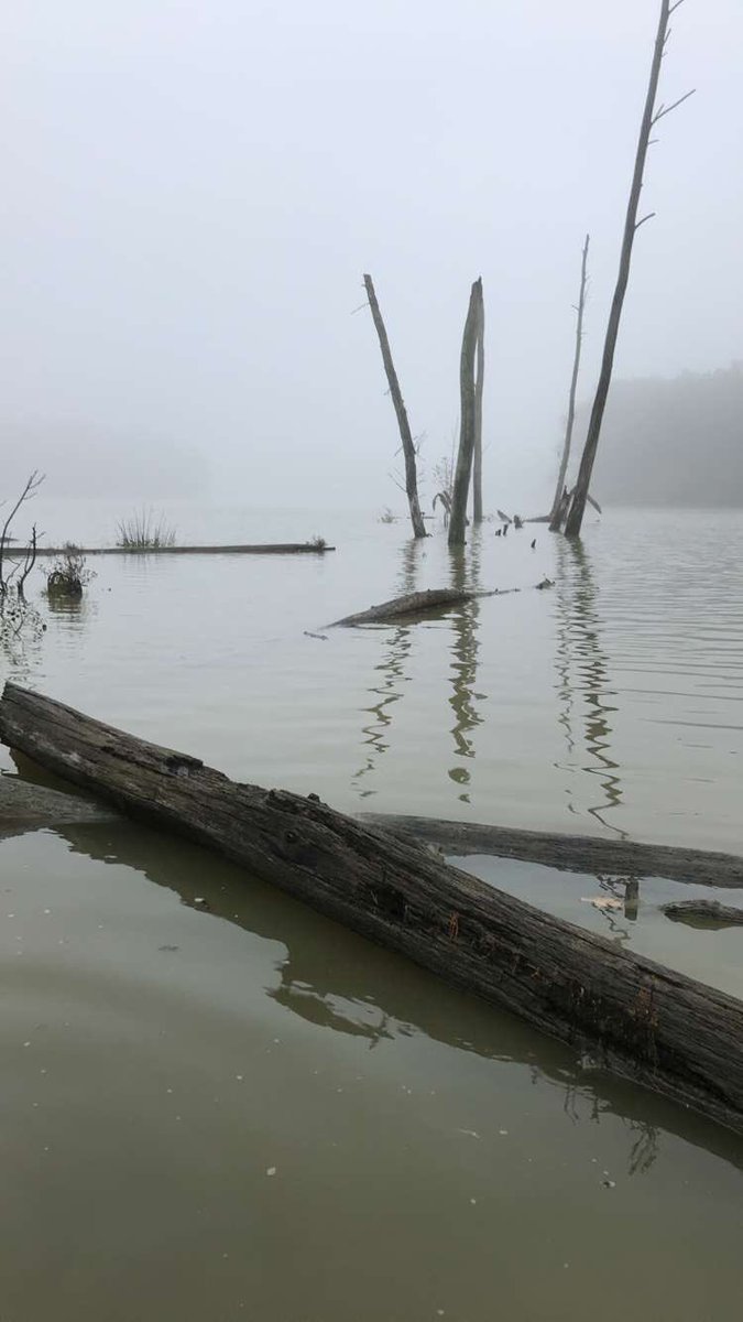 Addisonsmith32's tweet image. 4 days until the marsh opener, gonna be an early one 🦆🔫