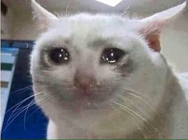 Me puse a pensar en los gatos y perros q están afuera en la calle con esta lluvia y quede así