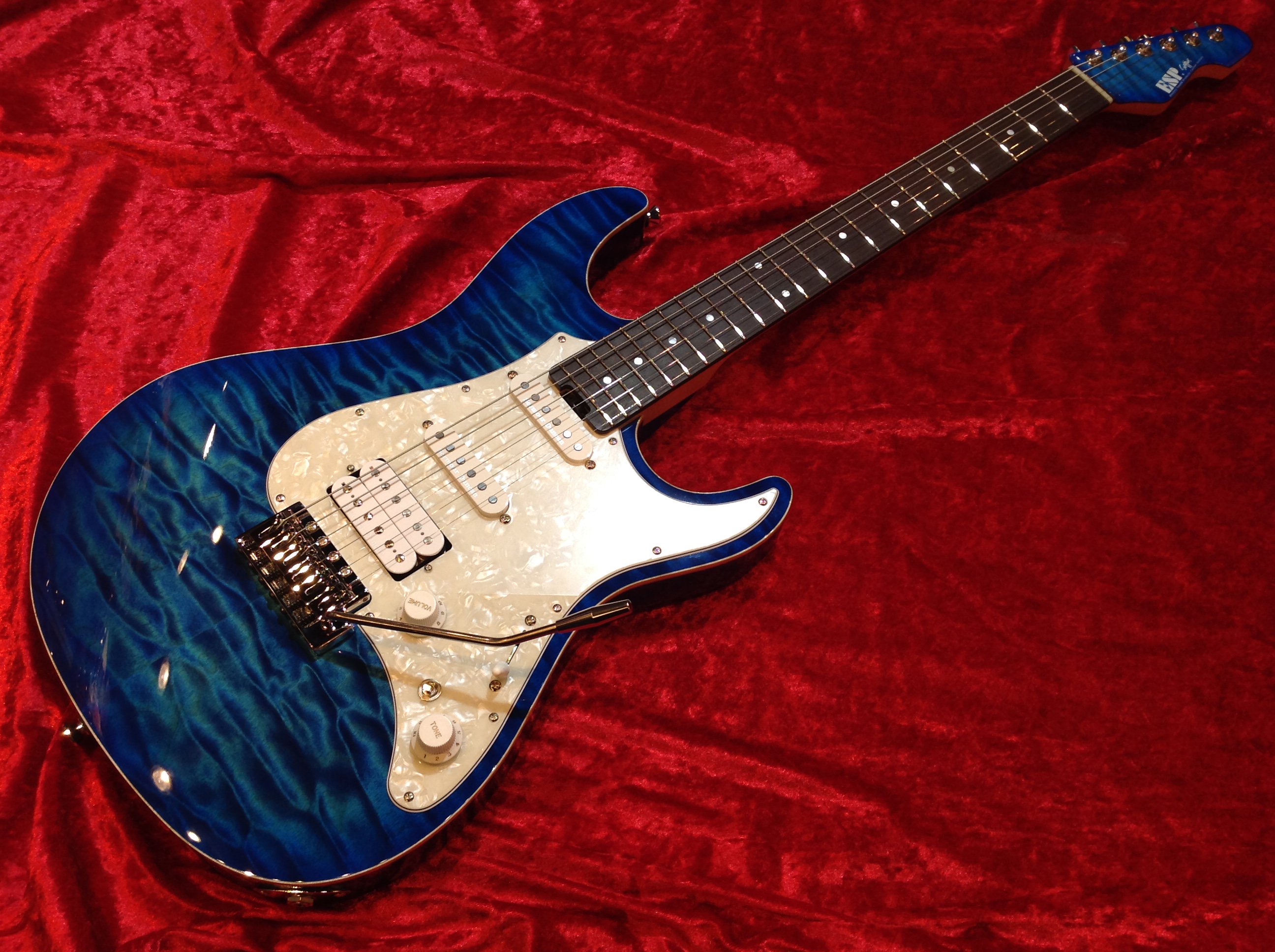 ESP Custom Order SNAPPER Aged Custom Color 2018 中古｜ギター