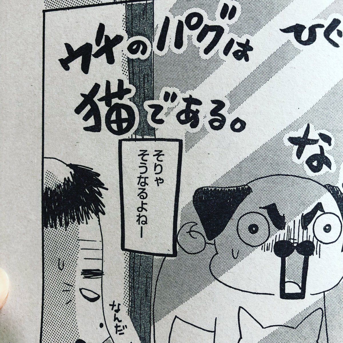 本当にあった笑える話スペシャル発売しております!今回は「なんだチミは!」でございます。よろしくお願いいたします! 