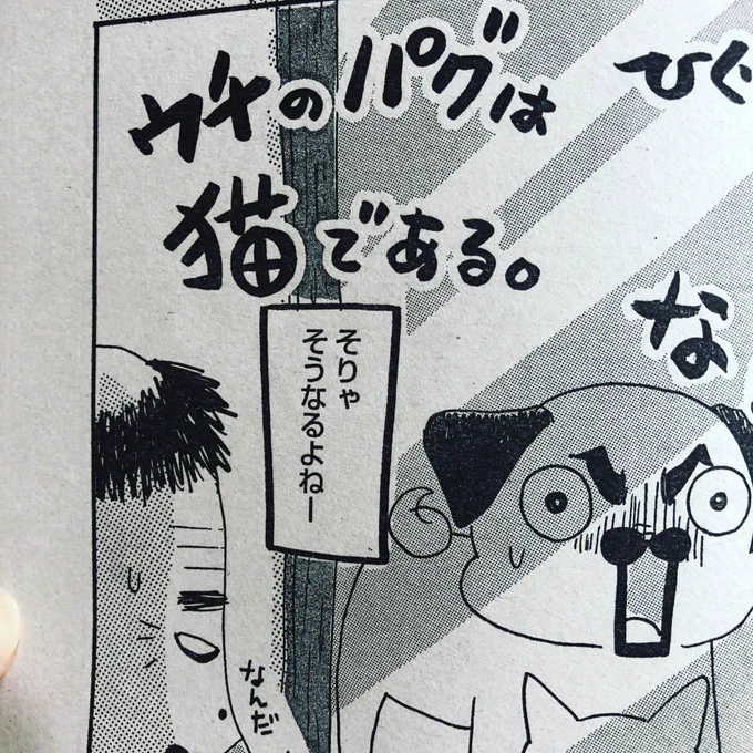 本当にあった笑える話スペシャル発売しております!今回は「なんだチミは!」でございます。よろしくお願いいたします! 