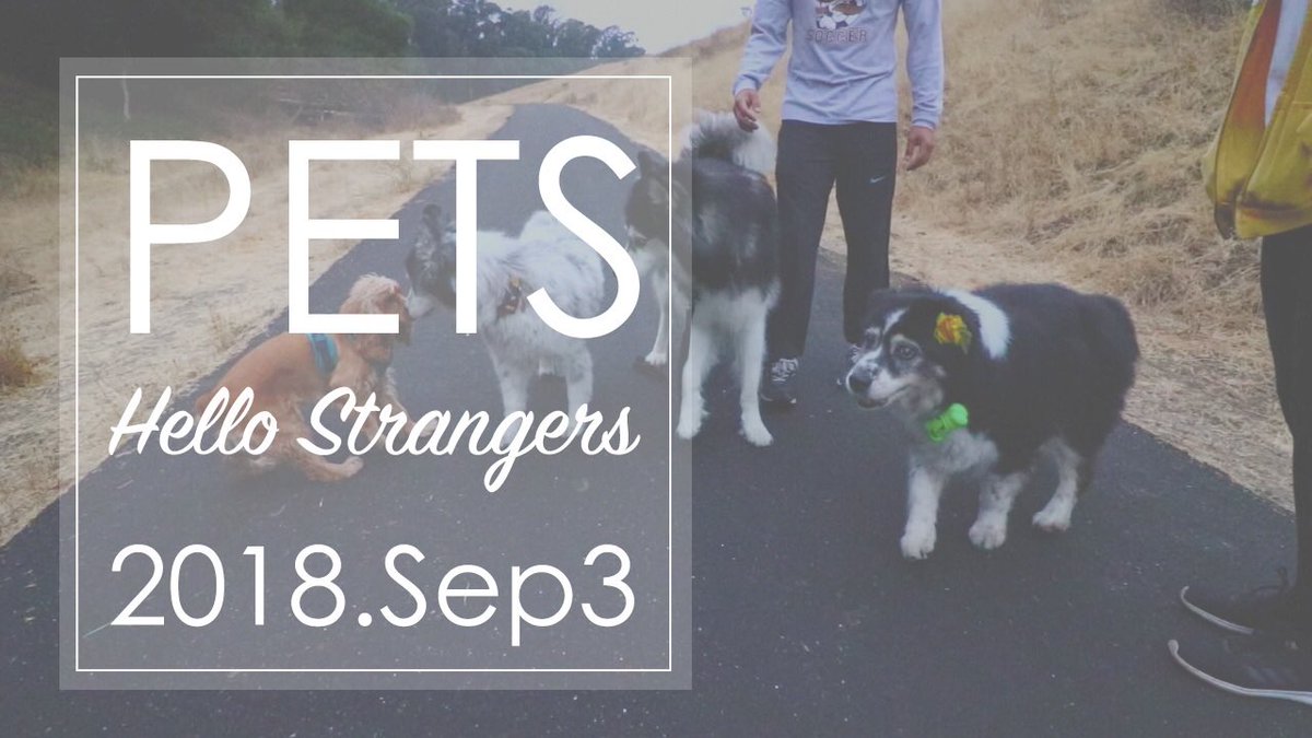 CatOFilc's tweet image. My favorite about allowing my girls meeting other dogs are (1) they’re happy to meet/smell new dogs and (2) they exert a lot of energy when they do so they tend to sleep the rest of the day.

If you haven’t already, CLICK, WATCH &amp;amp; SUBSCRIBE!
youtube.com/channel/UC7GOX…

#YouTube