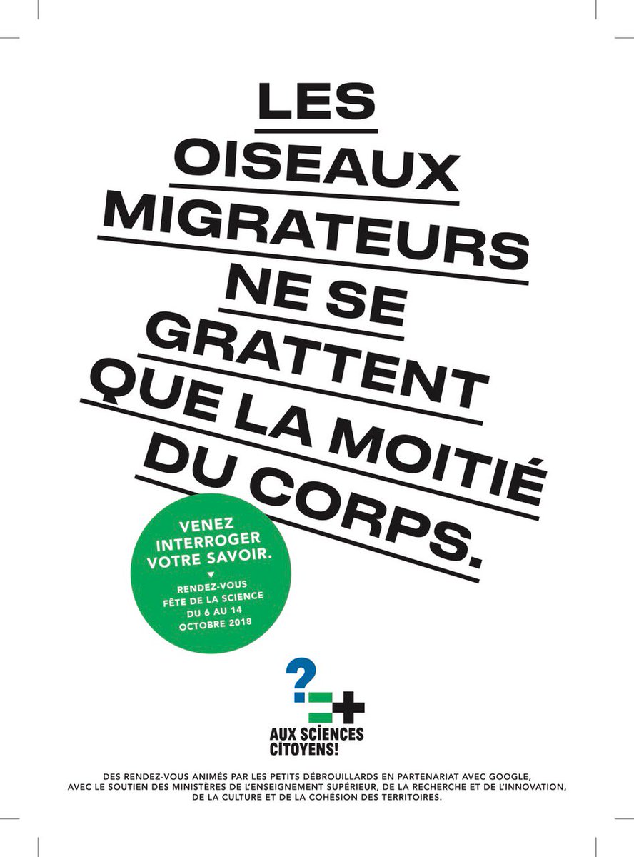 Petits débrouillards OFFICIEL tweet media