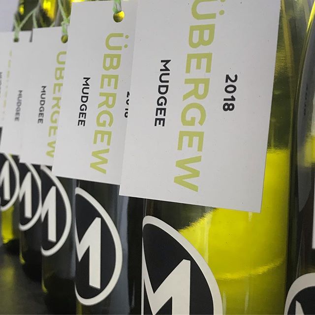 mannerswine's tweet photo. I’m excited!  #mudgeewine #ubergew #mannerswine https://t.co/8HtxufSNH2 https://t.co/pIKmC2cNoB