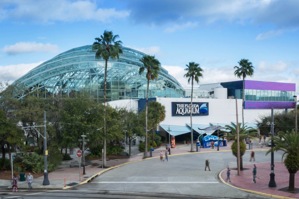 PlayInTampaBay's tweet photo. Florida Aquarium's "Guppyween" #FloridaAquarium #Guppyween2018 #Tampa https://t.co/HYhVcOe6Qq https://t.co/nGdzMK5UJH