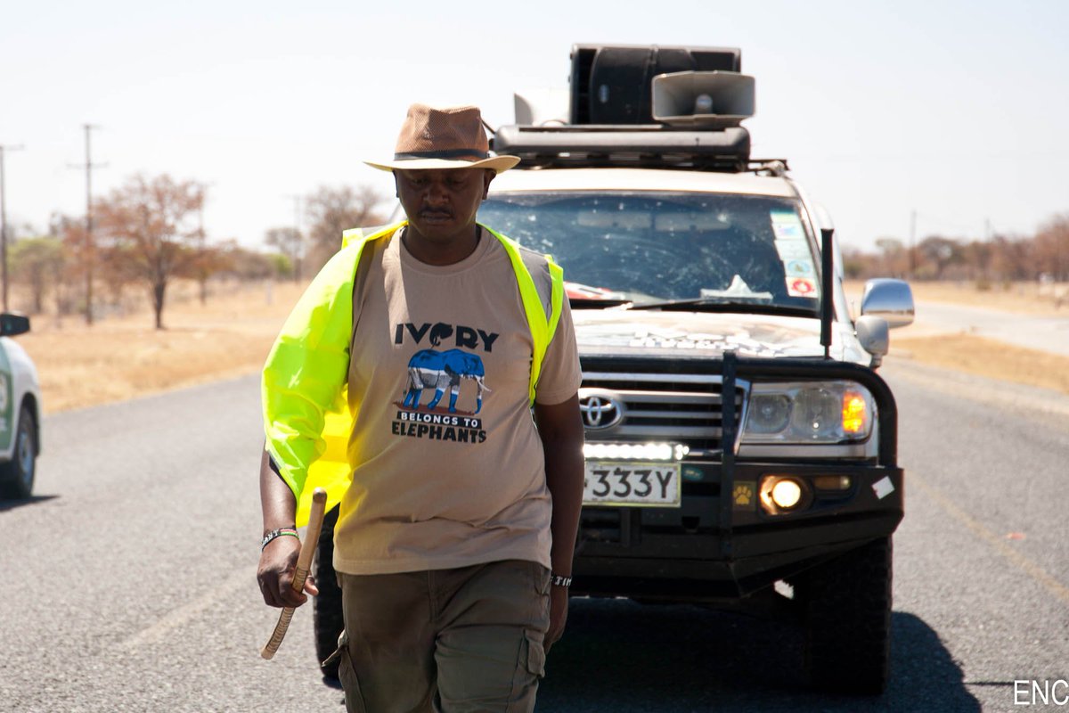 NyamuJim's tweet photo. I am on the road to Francistown @Go_Francistown #KElephantMan #StepWithJim Creating awareness on the plight of African Elephants. @mohammedhersi . #Conservationforbettertomorrow https://t.co/SIr9KyMEvP