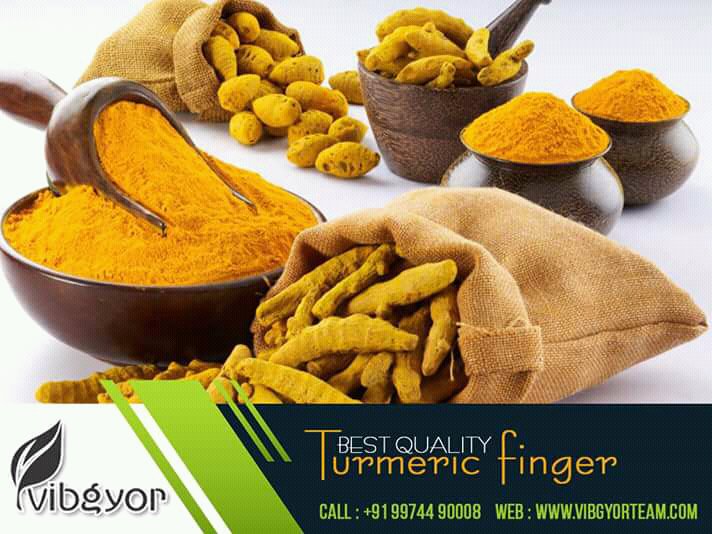 vibgyorteam's tweet photo. Turmeric finger best quality
Indian origin
Mo. No. +91 99789 40090
E-mail : spicesdocs@vibgyorteam.com
#turmeric
#turmericfinger
#kathiyawadi
#vibgyorteam https://t.co/KjPXrcpGZL