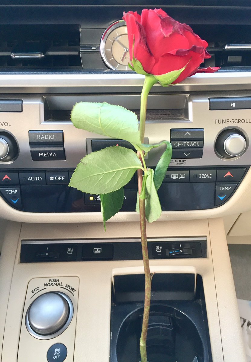 وهل للحياةِ معنى إن لم يملأها وجودك؟؟؟؟