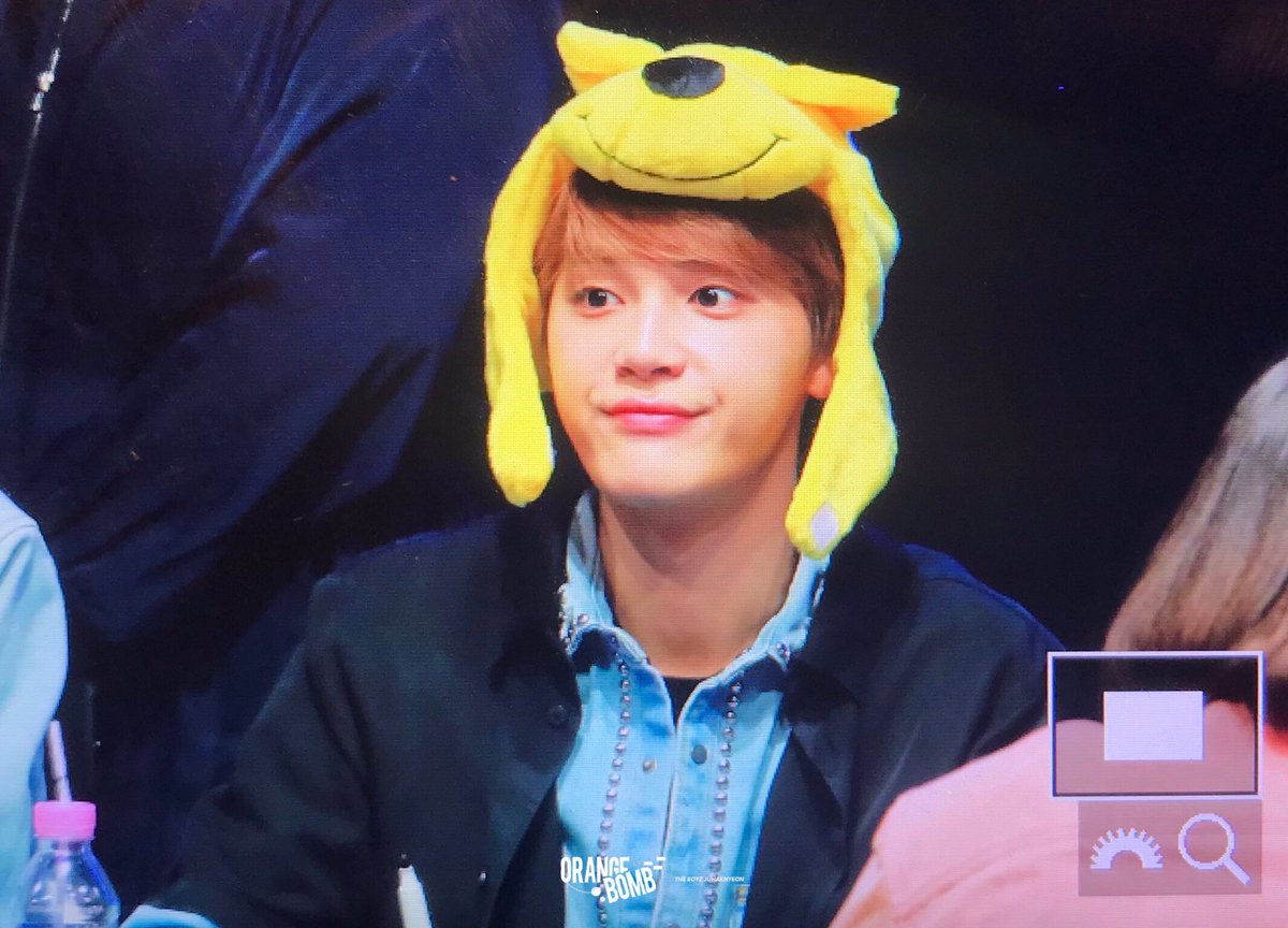 오렌지밤˙Ꙫ˙ tweet media