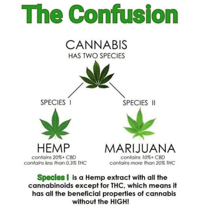 Do you know the difference?
.   .   .
#bhangers #hemp #cbd #cbdheals #cbdcures #healersnotdealers #hempculture #cbdlife #flowerpower #herbal #medicinal #mmj #cbdlifestyle #allnatural #everythinglife #happiness #health #wellness #therapeutic #cbdforpets #healingwithoutthehigh