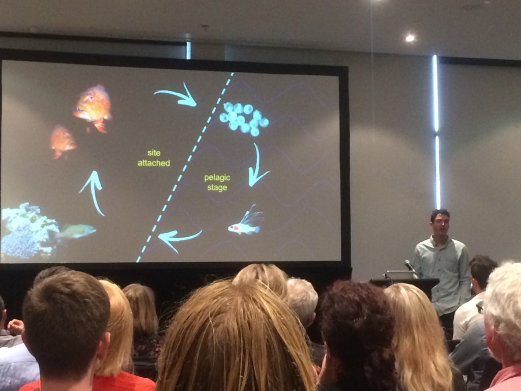 FultoFish's tweet photo. Payet: strong genetic pop structure in coral trout P. leopardus across GBR &amp; Coral Sea. Oceanographic patterns may help explain some of this structu @payet_sam #ASFB2018 https://t.co/5vdDS9bSot