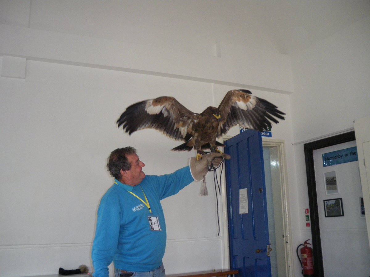 VoyagerClass's tweet photo. @normanbyspital what a lot we have learned about nocturnal animals and birds!!! https://t.co/OM8SFNzXFy