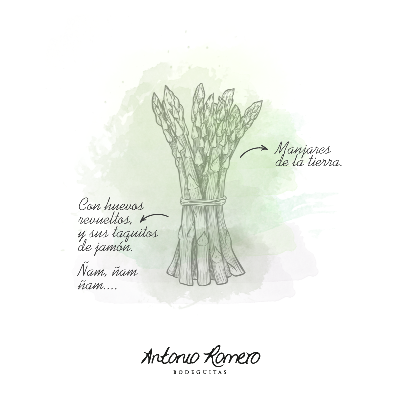 bodeguita_ar's tweet photo. Deliciosa opción para el martes.🌱
#BodeguitasAntonioRomero https://t.co/tw2f8LbLua