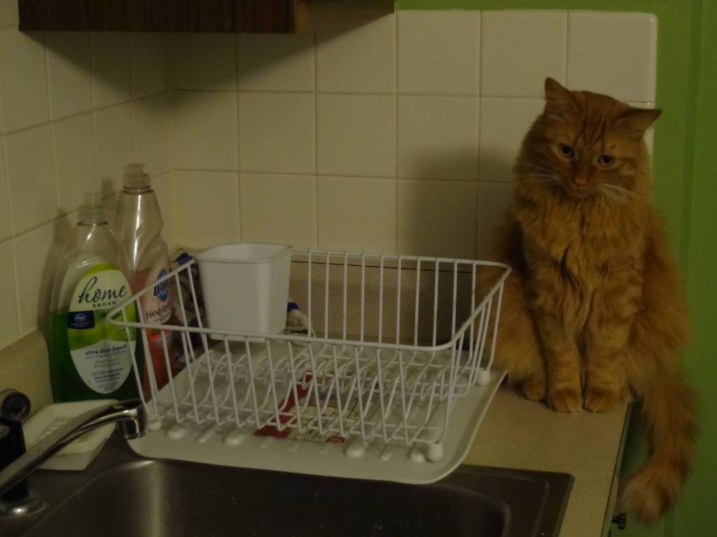 JonShaulis's tweet image. How to keep track of how many records were truncated? #SQLNewBlogger #SQLServer jonshaulis.com/index.php/2018…