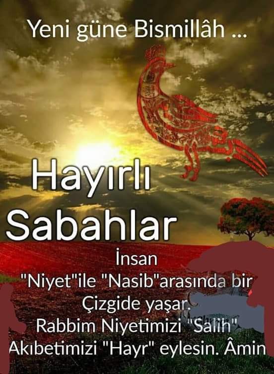 AliFINDIK6's tweet photo. https://t.co/lqtUXHPbai
